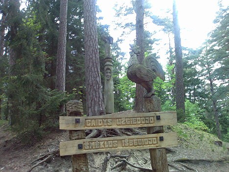 Neringa ir pilsēta Lietuvas rietumdaļā. Atrodas Kuršu kāpās. Šeit atrodas Neringas Nācionālais parks Neringa ir pilsēta Lietuvas rietumdaļā. Atrodas Kuršu kāpās. Šeit atrodas Neringas Nācionālais parks 22654