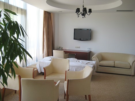 Apartaments ir plašs un tas ļauj ievietot arī papildgultu 23109