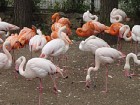 Rīgas Zooloģiskais dārzs