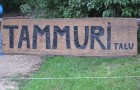 Tammuri restorāns