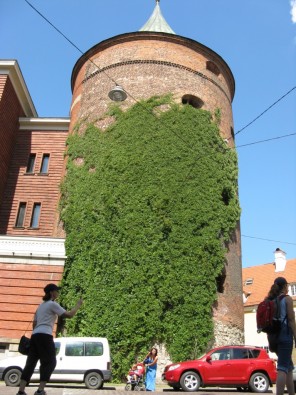 img_0087 26166