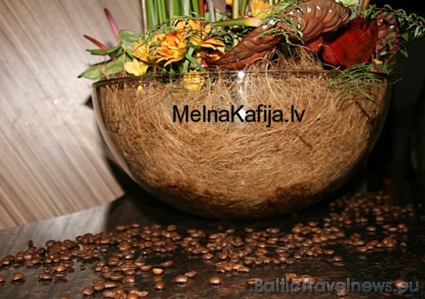 Sīkāka informācija par kafijas ražošanas uzņēmumu Melnā kafija un sertifikāciju - www.melnakafija.lv 28535
