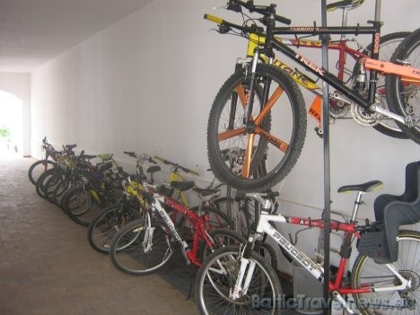 Aktīvākie klienti Domina Coral Bay lielo teritoriju apskatīt braucot ar velosipēdu. To ir iespējams noīrēt kūrorta velosipēdu centrā Aktīvākie klienti Domina Coral Bay lielo teritoriju apskatīt braucot ar velosipēdu. To ir iespējams noīrēt kūrorta velosipēdu centrā 29240