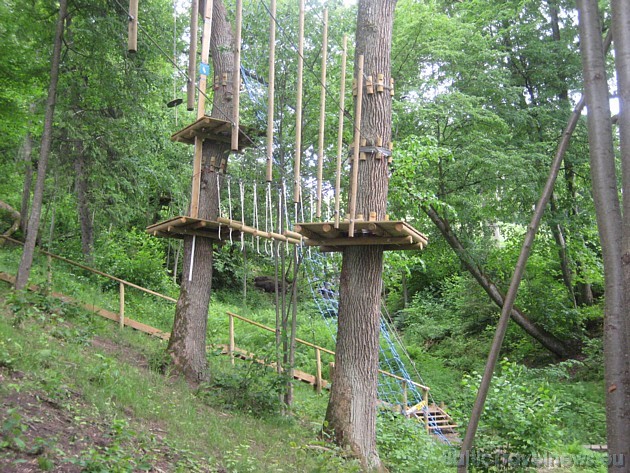 Tarzāna parks sastāv no gandrīz 80 dažādiem šķēršļiem, kas izvietoti kokos, visdažādākajos augstumos, līdz pat 20m virs zemes Tarzāna parks sastāv no gandrīz 80 dažādiem šķēršļiem, kas izvietoti kokos, visdažādākajos augstumos, līdz pat 20m virs zemes 34334