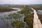 Estonia > Kotka Hiking Trail > Kotkas kājāmgājēju taka