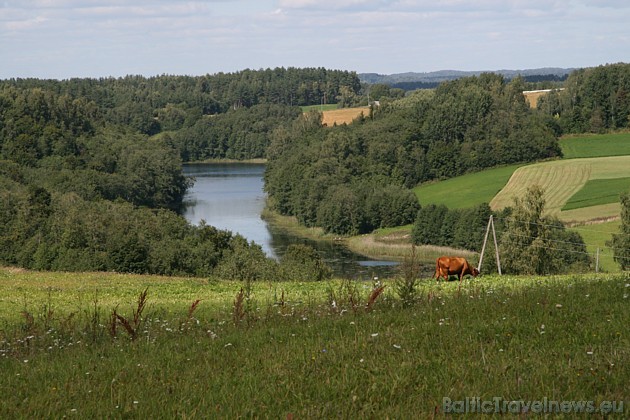 Baltijas dziļākais ezers Dridzis var lepoties ar vidējo dziļumu 12,8 metri, bet maksimālais dziļums - 65,1 metri Baltijas dziļākais ezers Dridzis var lepoties ar vidējo dziļumu 12,8 metri, bet maksimālais dziļums - 65,1 metri 36365