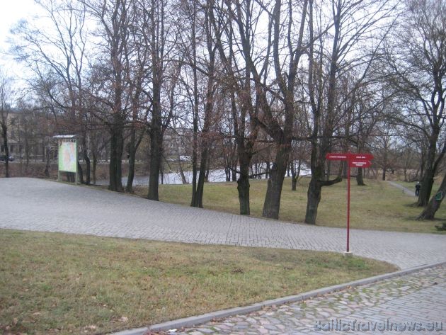 Pils parkā aug daži dižkoki – divas zirgkastaņas, piramidālais ozols, pelēcīgā apse 38374