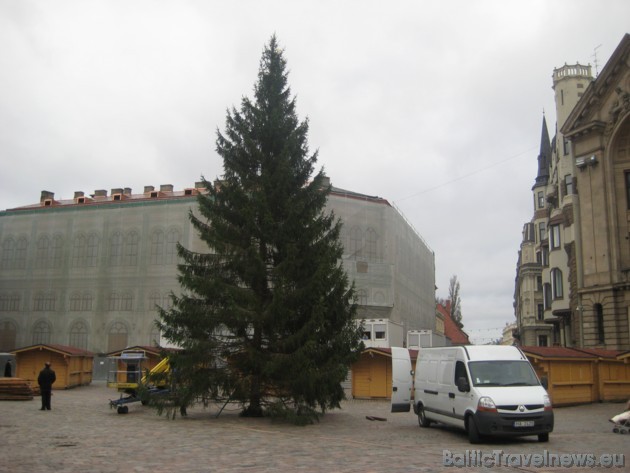 Gan šo koku, gan arī egli, kas atradīsies Rātslaukumā, 23.11.2009 Daugavas mežniecībā izvēlējās Rīgas mērs Nils Ušakovs kopā ar žurnālistiem Gan šo koku, gan arī egli, kas atradīsies Rātslaukumā, 23.11.2009 Daugavas mežniecībā izvēlējās Rīgas mērs Nils Ušakovs kopā ar žurnālistiem 38407