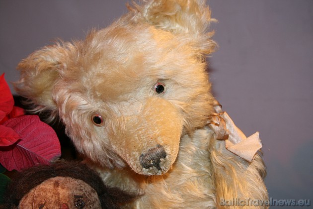 Teddy lāča popularitātes fenomenu ir grūtu izskaidrot, bet tas, ka šis mazais, aizkustinošais lācītis ir iekarojis ne tikai bērnu sirdis, ir nenoliedz Teddy lāča popularitātes fenomenu ir grūtu izskaidrot, bet tas, ka šis mazais, aizkustinošais lācītis ir iekarojis ne tikai bērnu sirdis, ir nenoliedz 38591