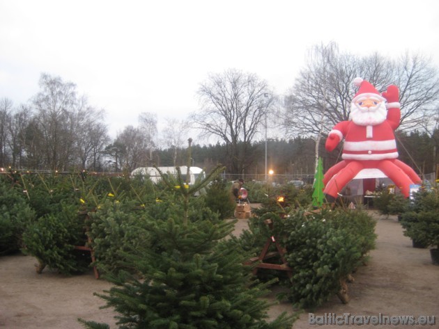 Papildus informāciju par ziemas sezonu tirdzniecības parkā Alfa iespējams atrast interneta vietnē www.alfaparks.lv Papildus informāciju par ziemas sezonu tirdzniecības parkā Alfa iespējams atrast interneta vietnē www.alfaparks.lv 38702