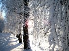 Travelnews.lv ziemas autoceļu fotokonkurss