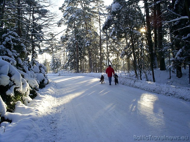 Galerijā apskatāmi Travelnews.lv ziemas autoceļu fotokonkursam pieteiktās bildes. Noteikumus lasi šeit: www.travelnews.lv
Foto: Antra K. Galerijā apskatāmi Travelnews.lv ziemas autoceļu fotokonkursam pieteiktās bildes. Noteikumus lasi šeit: www.travelnews.lv
Foto: Antra K. 39131