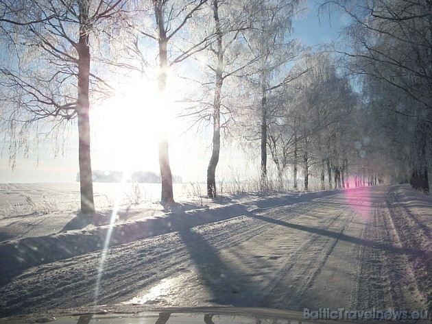 Foto: Antra V. 39134