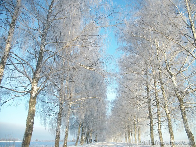 Foto: Antra V. 39136