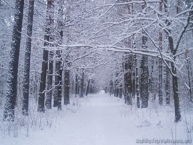 Foto: Elīna Ž. 39146