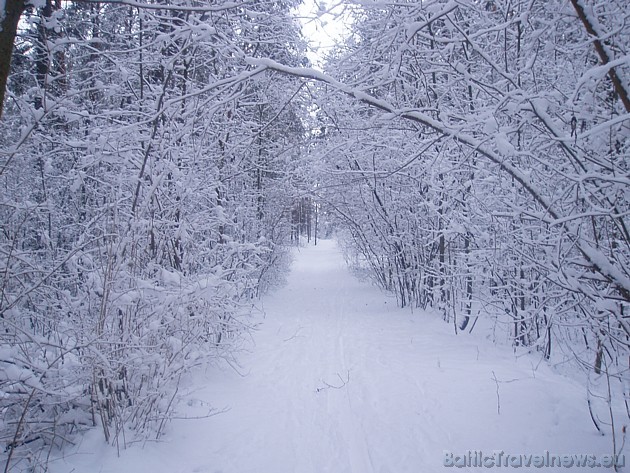 Foto: Elīna Ž. 39147