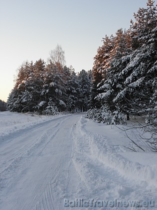 Foto: Evija B. 39148