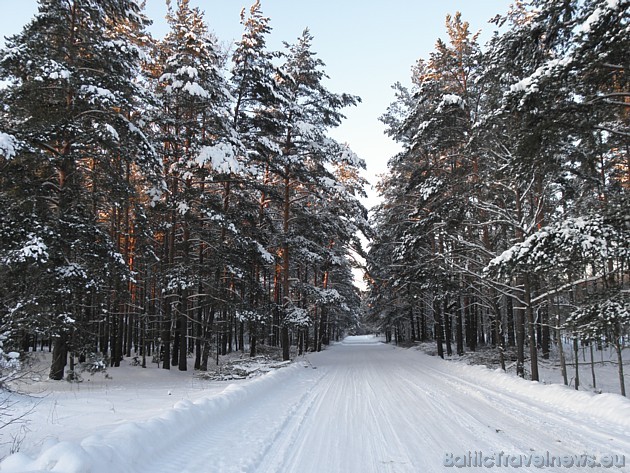 Foto: Evija B. 39149