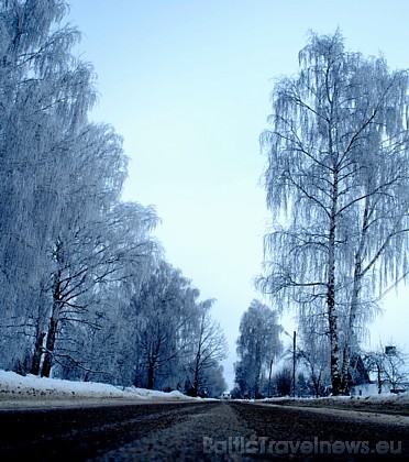 Foto: Ieva G. 39158
