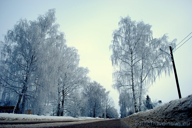 Foto: Ieva G. 39159