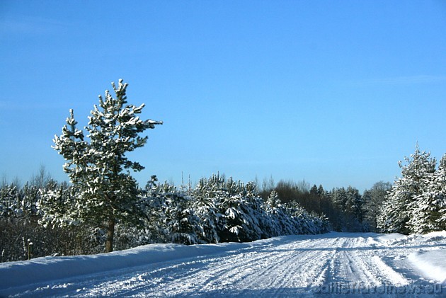 Foto: Ilze A. 39164
