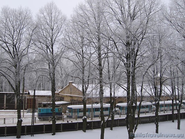 Foto: Inese Ž. 39166