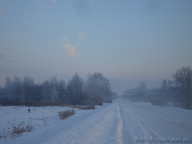 Foto: Ineta K. 39168