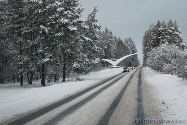 Foto: Jūlija O. 39171