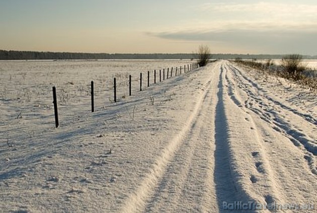 Foto: Ludmila Š. 39177