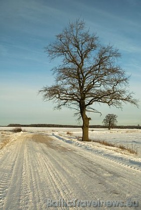 Foto: Ludmila Š. 39179