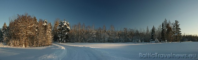 Foto: Mārtiņš P. 39181