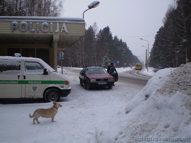 Foto: Solveiga S. 39195