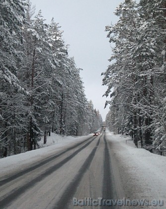 Foto: Valentīna S. 39206