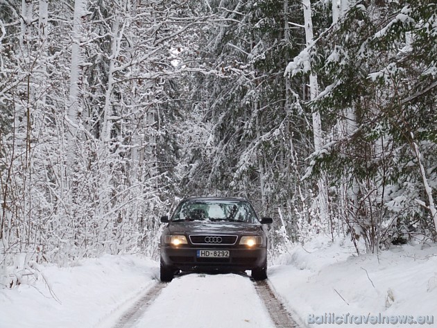 Foto: Vineta K. 39211