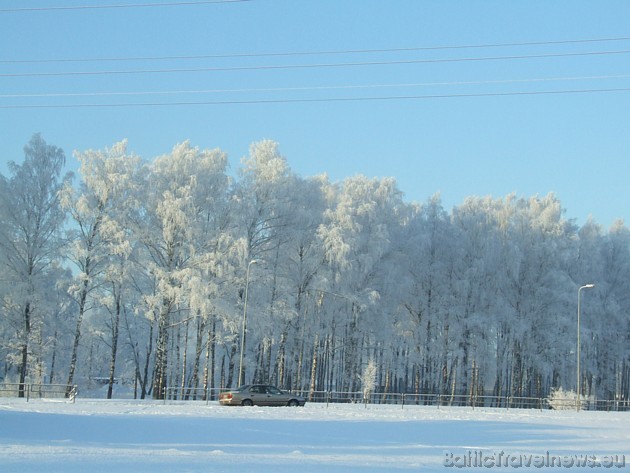 Foto: Vineta K. 39212
