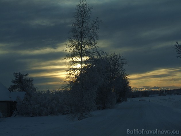 Foto: Vineta K. 39213