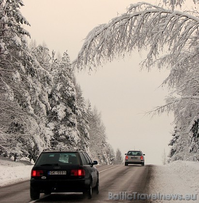Foto: Gunta Š. 39215