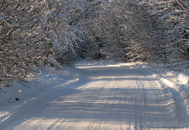 Foto: Gunta Š. 39216