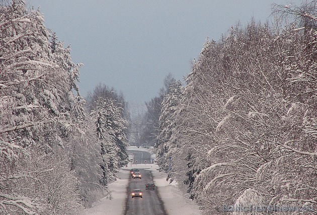 Foto: Gunta Š. 39217