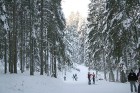Ogres novada atklātais čempionāts distanču slēpošanā 17.01.2010