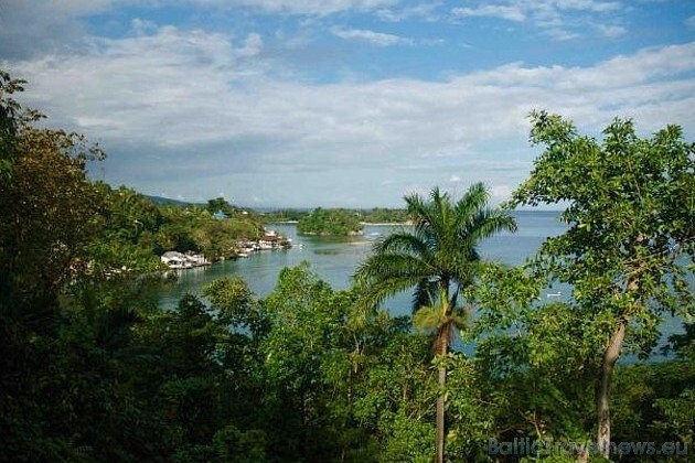 Viesnīca Kanopi House atrodas Jamaikā, netālu no ostas Port Antonio 40987