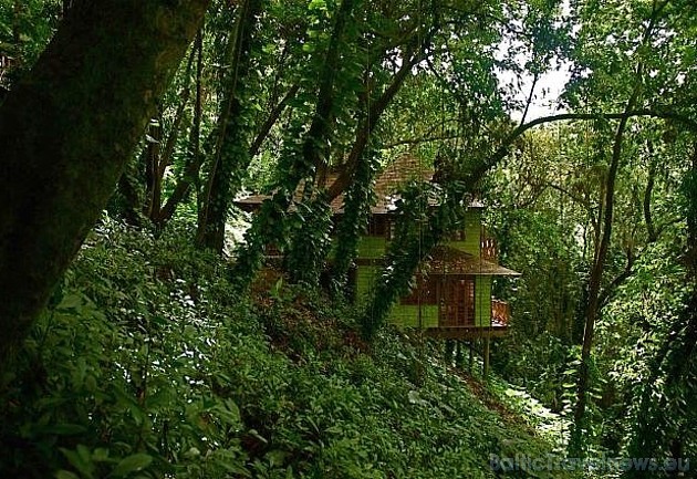 Kanopi House mājiņas lieliski iederas apkārtnē 40992