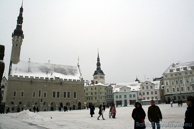 Sīkāka informācija: www.tallinn.ee/raekoda 41286