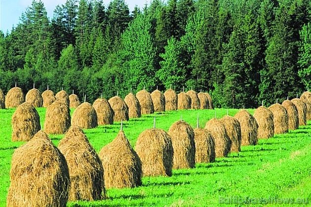 Ziemeļniecisku atvaļinājumu favorītvalsts Somija ir lieliska vieta, kur pavadīt arī vasaras atvaļinājumu Ziemeļniecisku atvaļinājumu favorītvalsts Somija ir lieliska vieta, kur pavadīt arī vasaras atvaļinājumu 42253