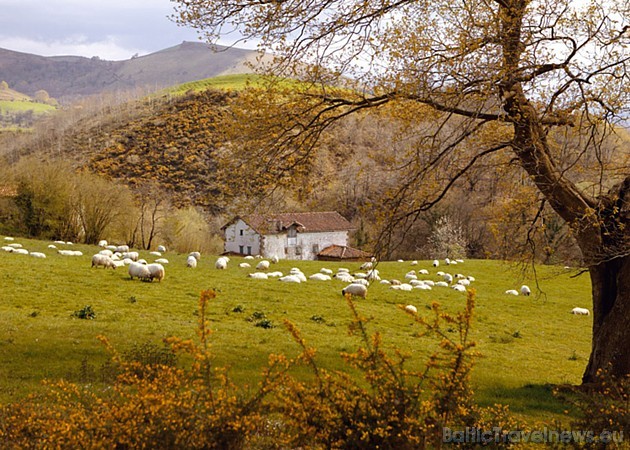 Idille kādā Navarras ciemā 42818