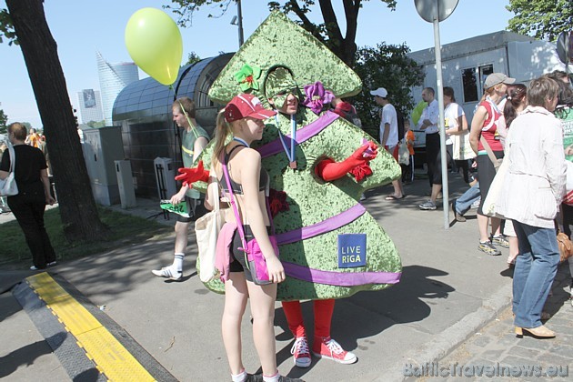 Live Rīga eglīte 43836