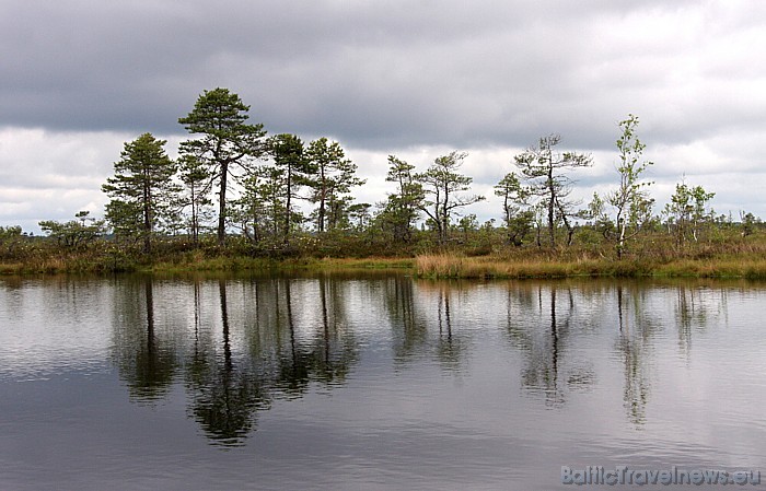 Somā Nacionālais parks ir konkursa Igaunijas neatklātie dārgumi 2009 uzvarētājs, tas ir saņēmis Eiropas neskarto teritoriju PAN Parks statusu Somā Nacionālais parks ir konkursa Igaunijas neatklātie dārgumi 2009 uzvarētājs, tas ir saņēmis Eiropas neskarto teritoriju PAN Parks statusu 47700