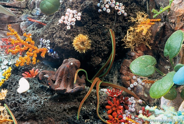 Kaut arī Miniatur Wunderland ir dzelzceļa modeļu muzejs, tur apskatāmi arī daudzi citi objekti, piemēram, zemūdens pasaules attēlojums Kaut arī Miniatur Wunderland ir dzelzceļa modeļu muzejs, tur apskatāmi arī daudzi citi objekti, piemēram, zemūdens pasaules attēlojums 48985