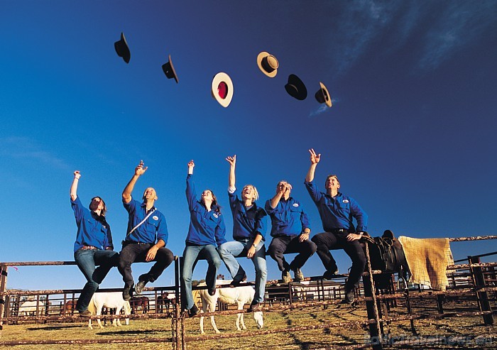Austrālijā iespējams apmeklēt arī liellopu fermas, rodeo, zirgu jāšanas sacīkstes
Foto: SATC 49428