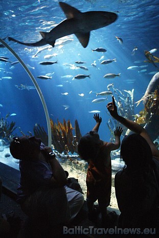 Tāpat Hannoverē pieejams arī jūras akvāriju parks
Foto: © SEA LIFE Deutschland 49525